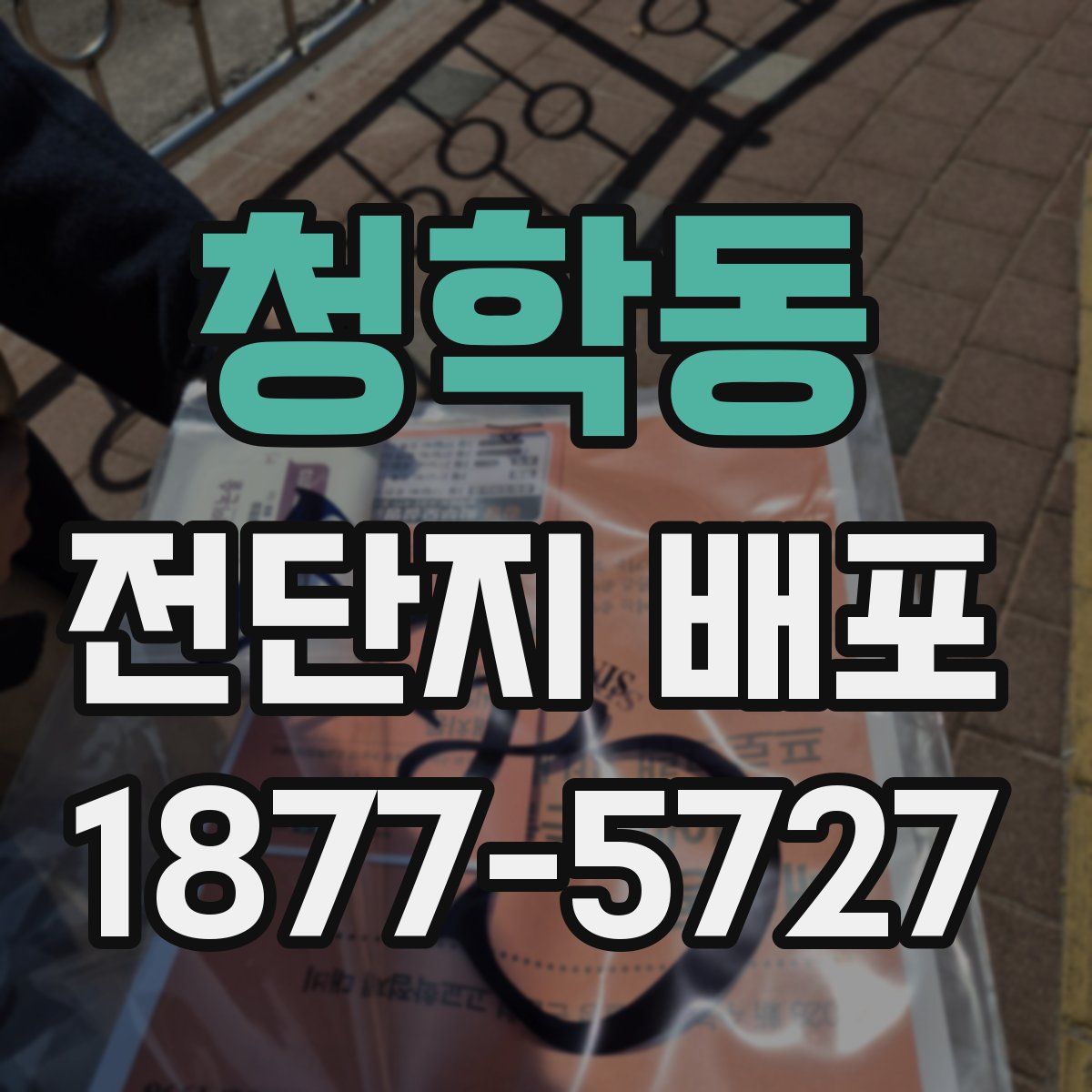 청학동 전단지 배포