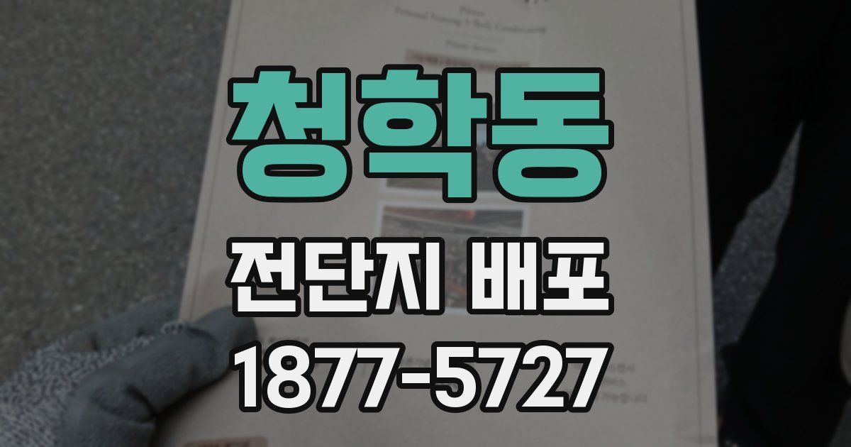 청학동 전단지 배포