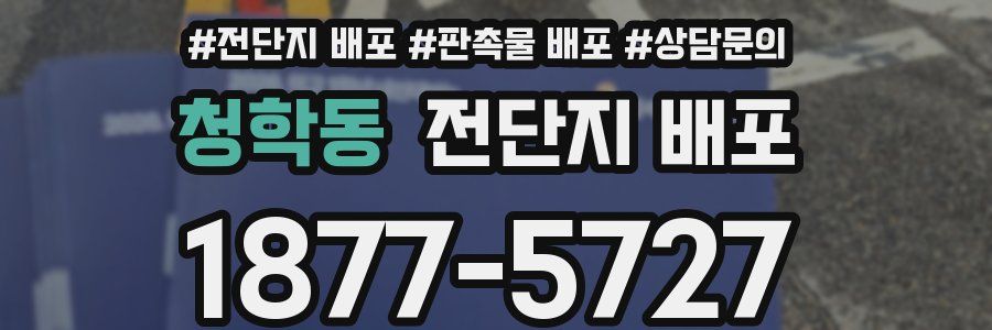 청학동 전단지 배포