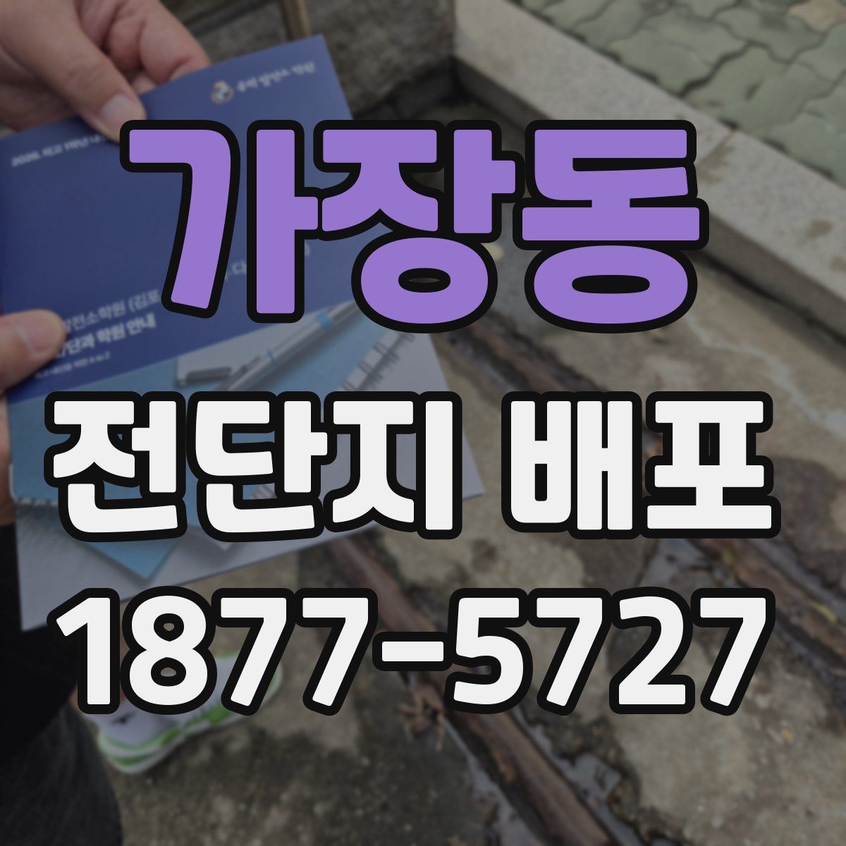 가장동 전단지 배포