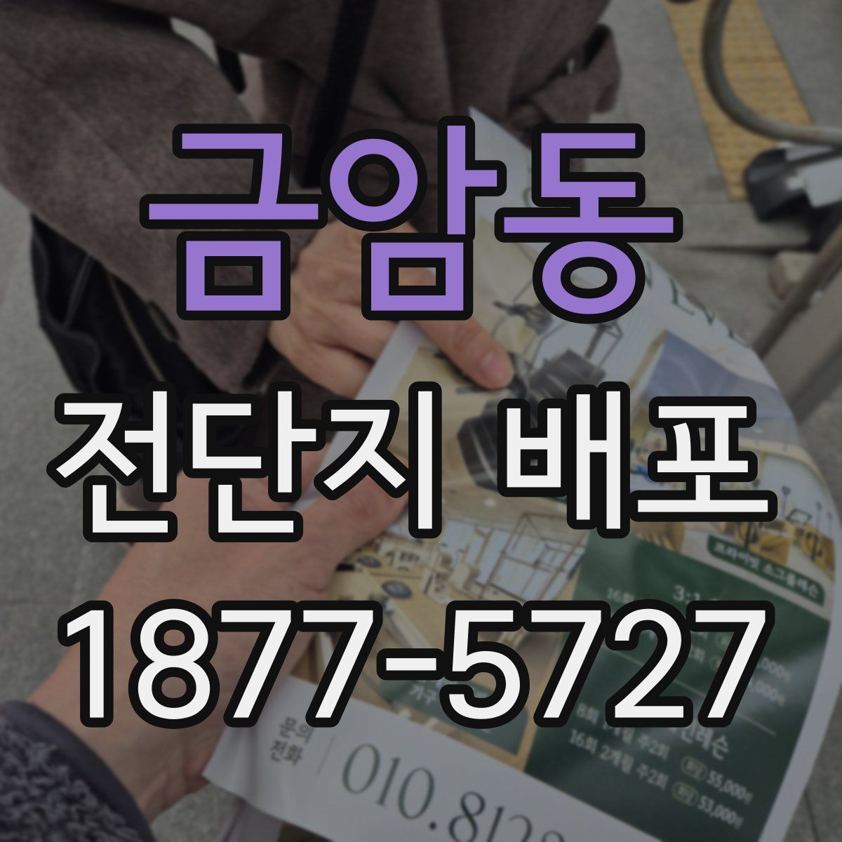 금암동 전단지 배포