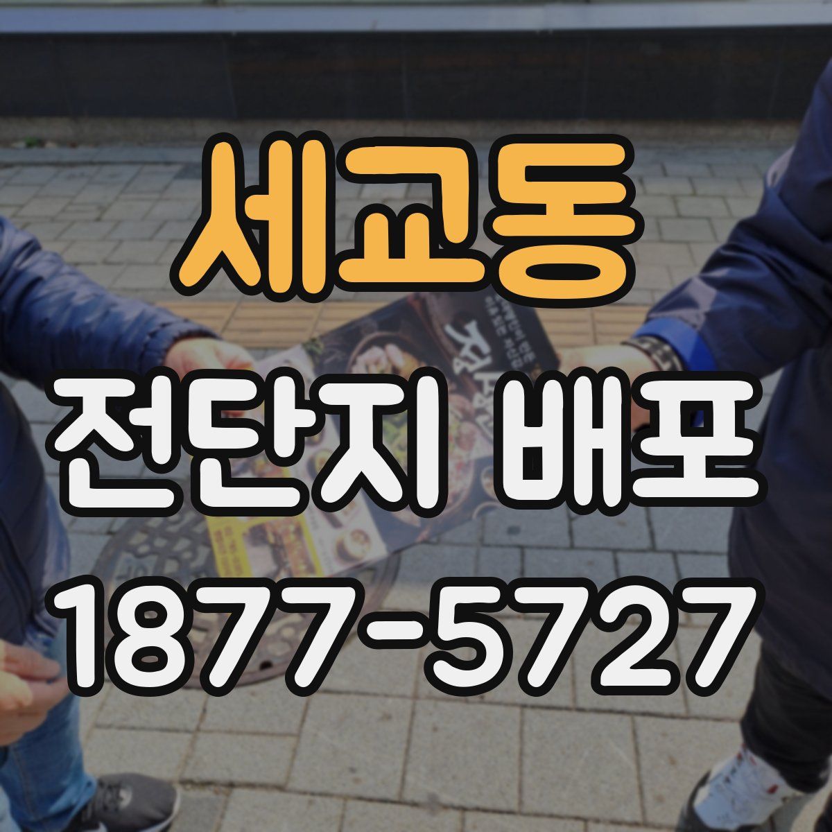 세교동 전단지 배포