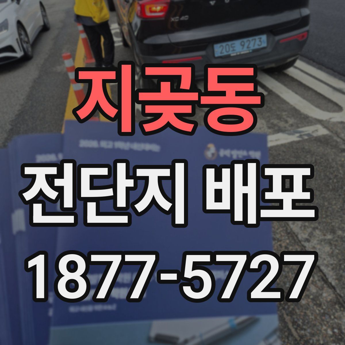 지곶동 전단지 배포