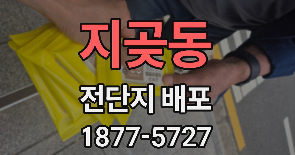 지곶동 전단지 배포