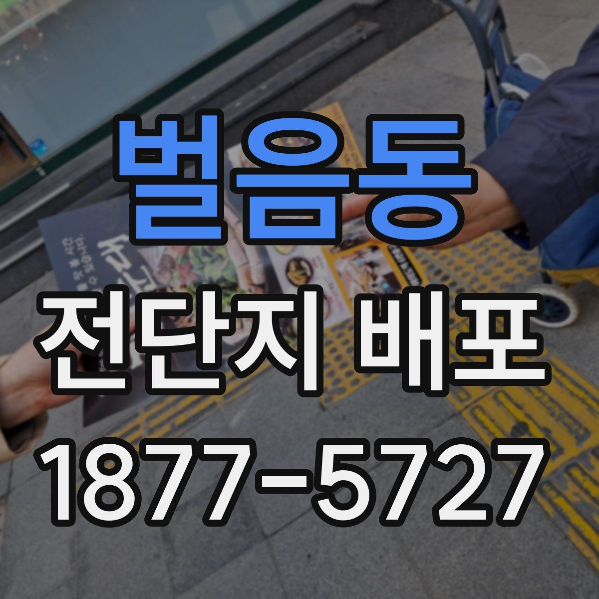 벌음동 전단지 배포