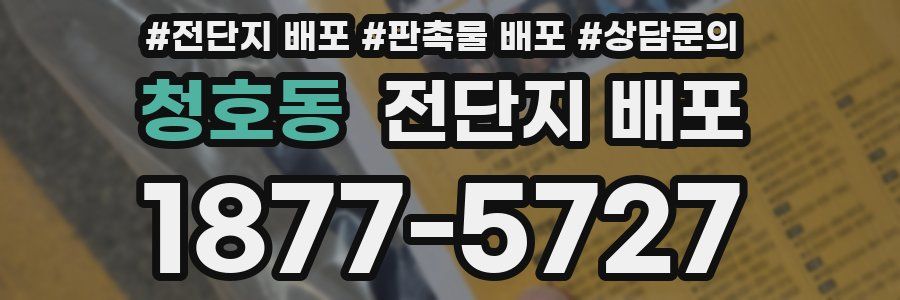 청호동 전단지 배포