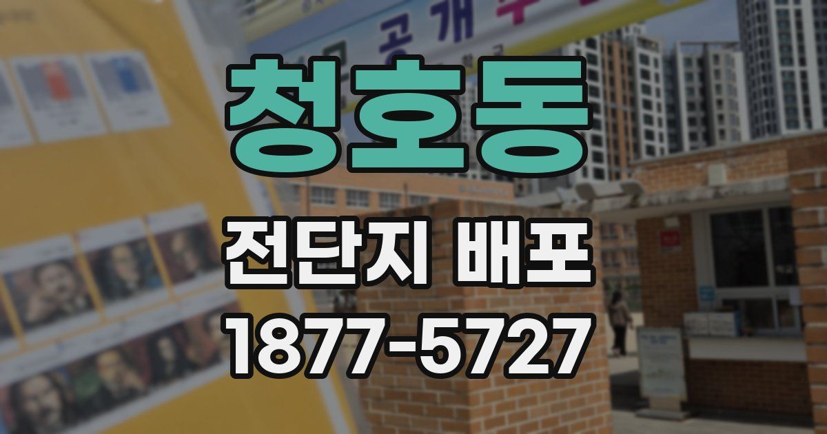청호동 전단지 배포