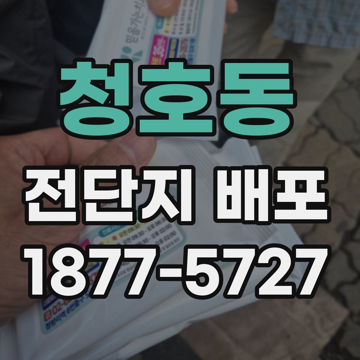 청호동 전단지 배포