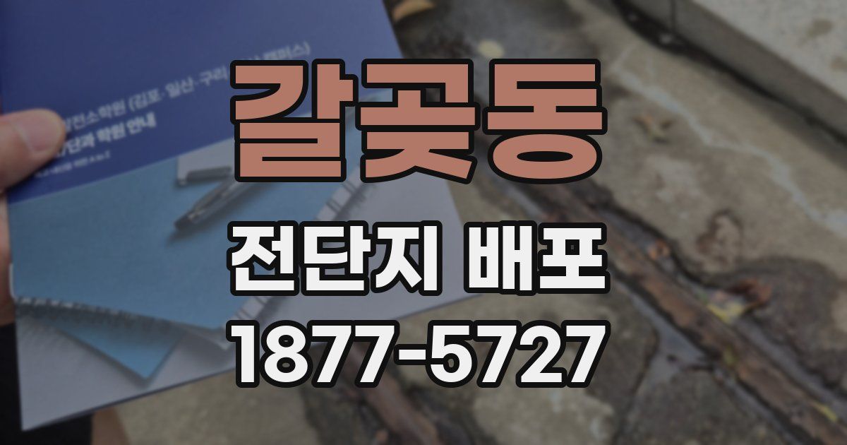 갈곶동 전단지 배포