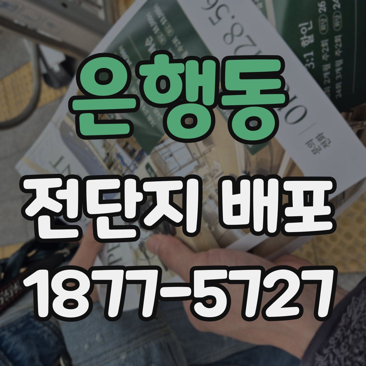 은행동 전단지 배포