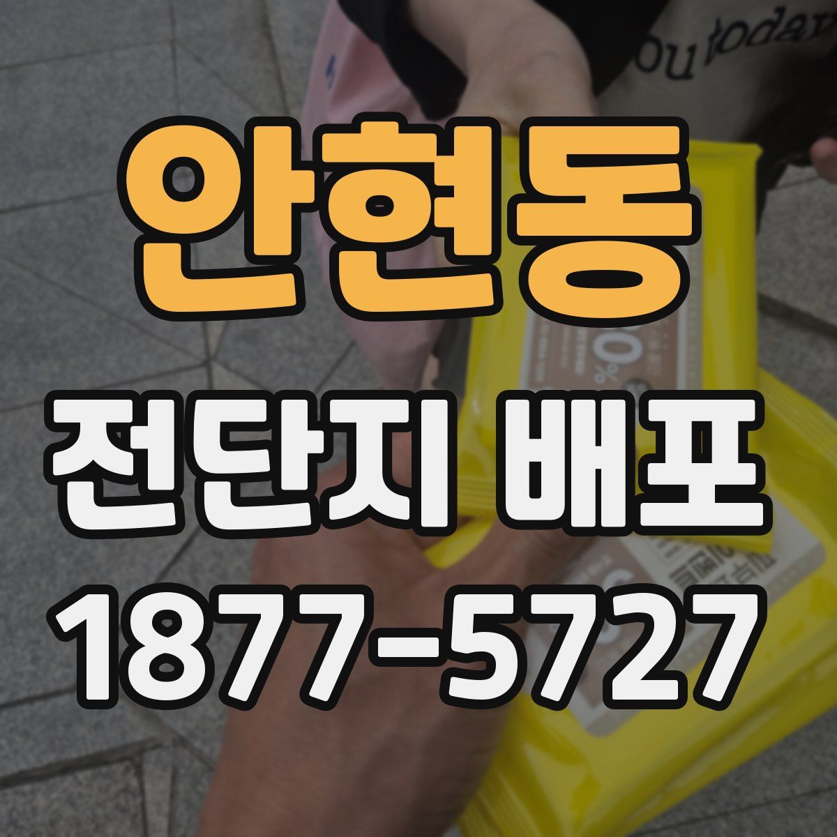 안현동 전단지 배포
