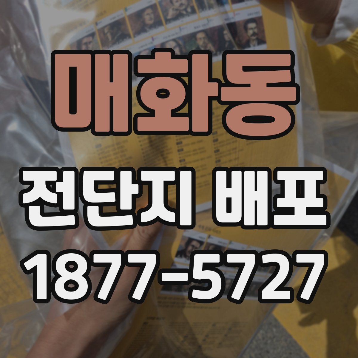 매화동 전단지 배포