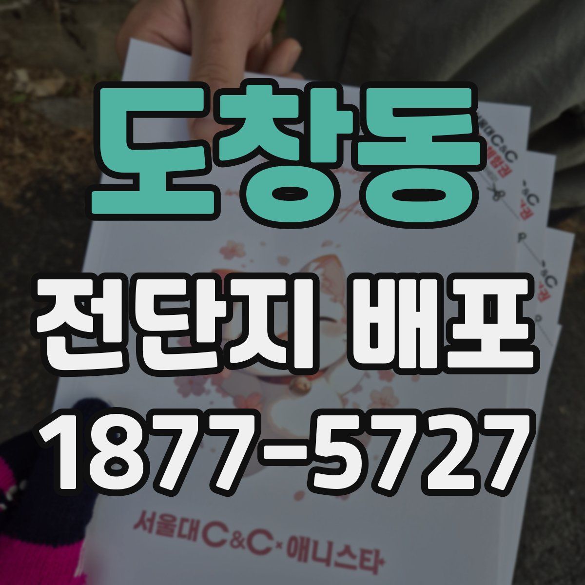 도창동 전단지 배포