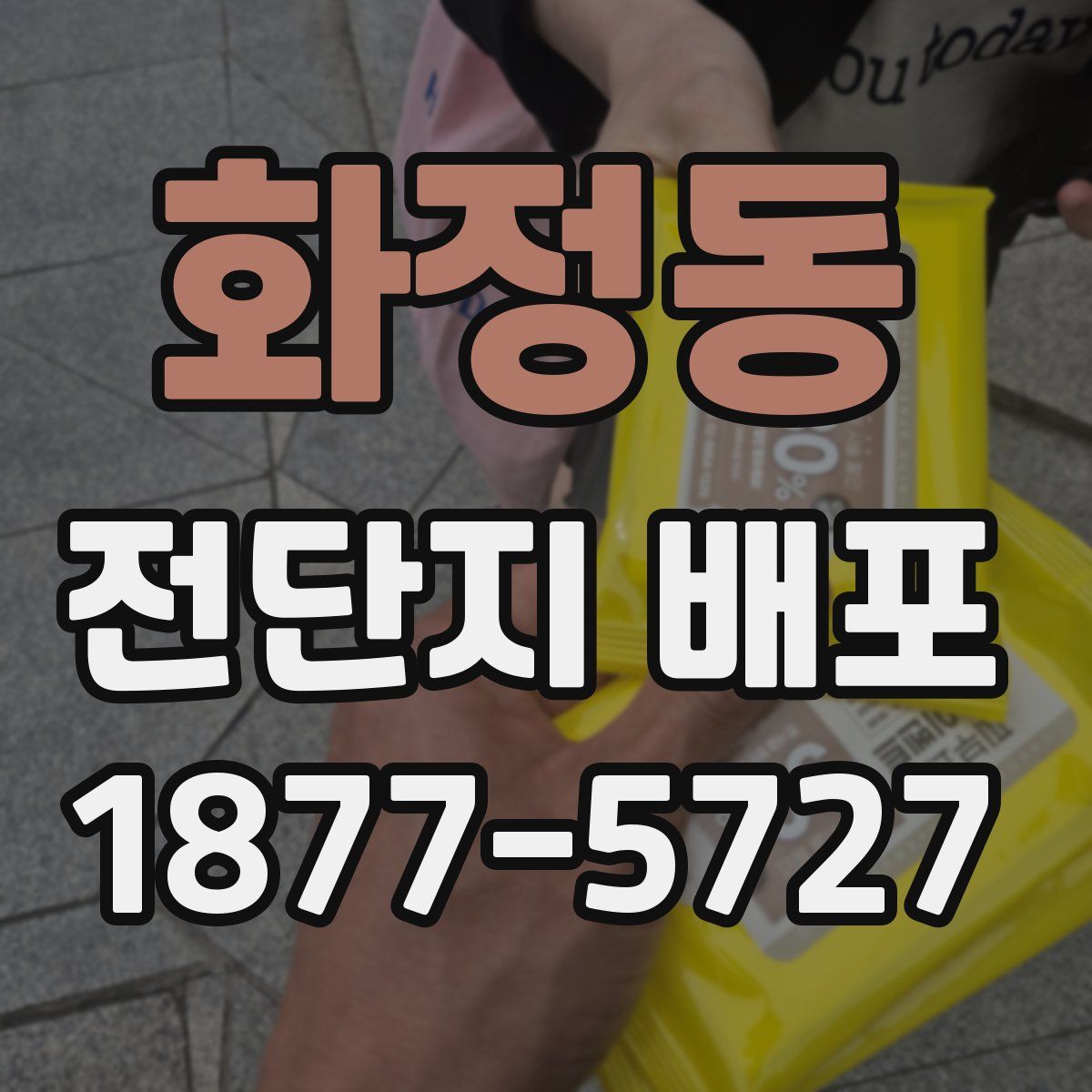 화정동 전단지 배포