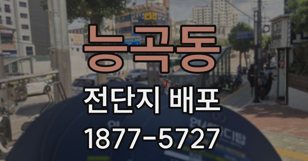 능곡동 전단지 배포