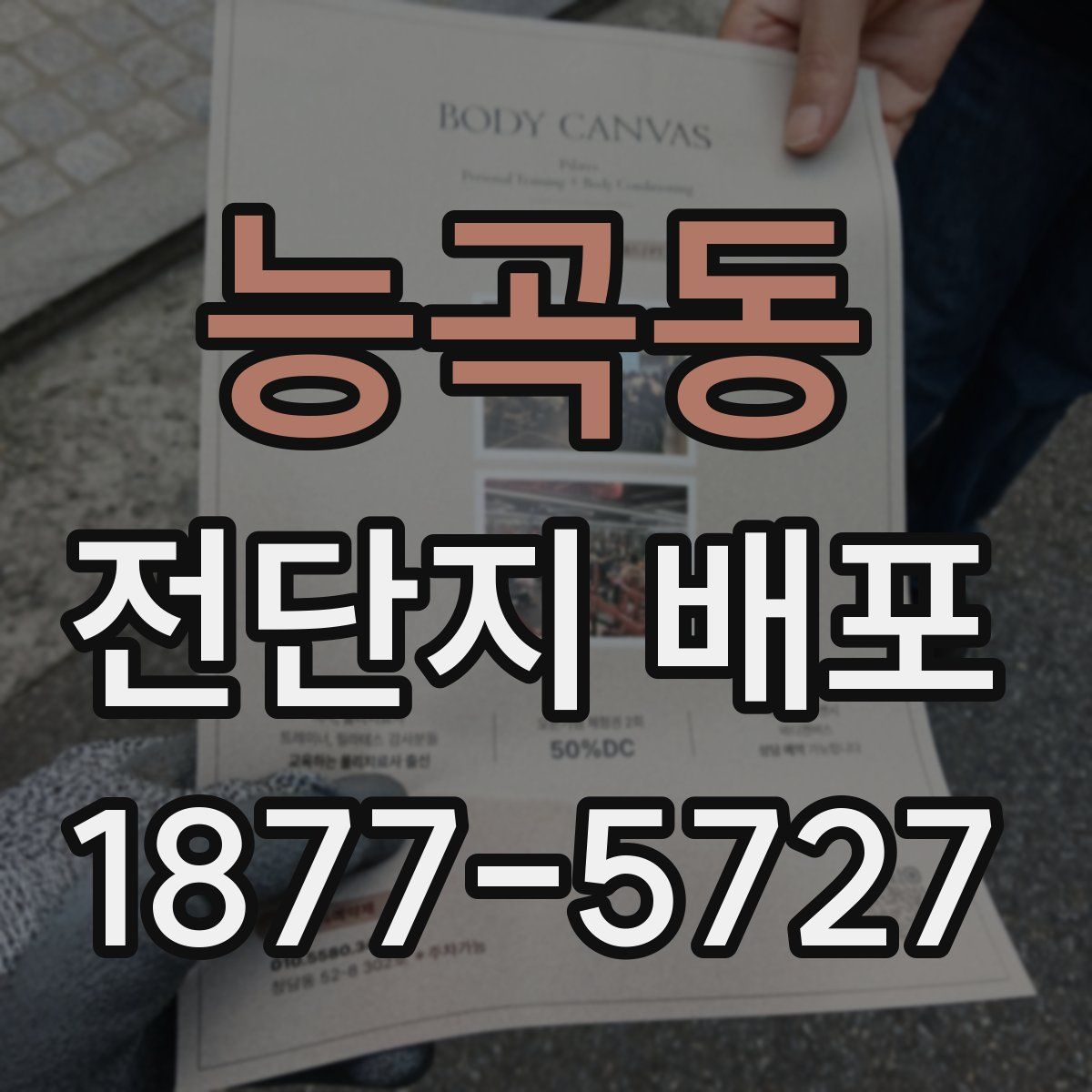 능곡동 전단지 배포