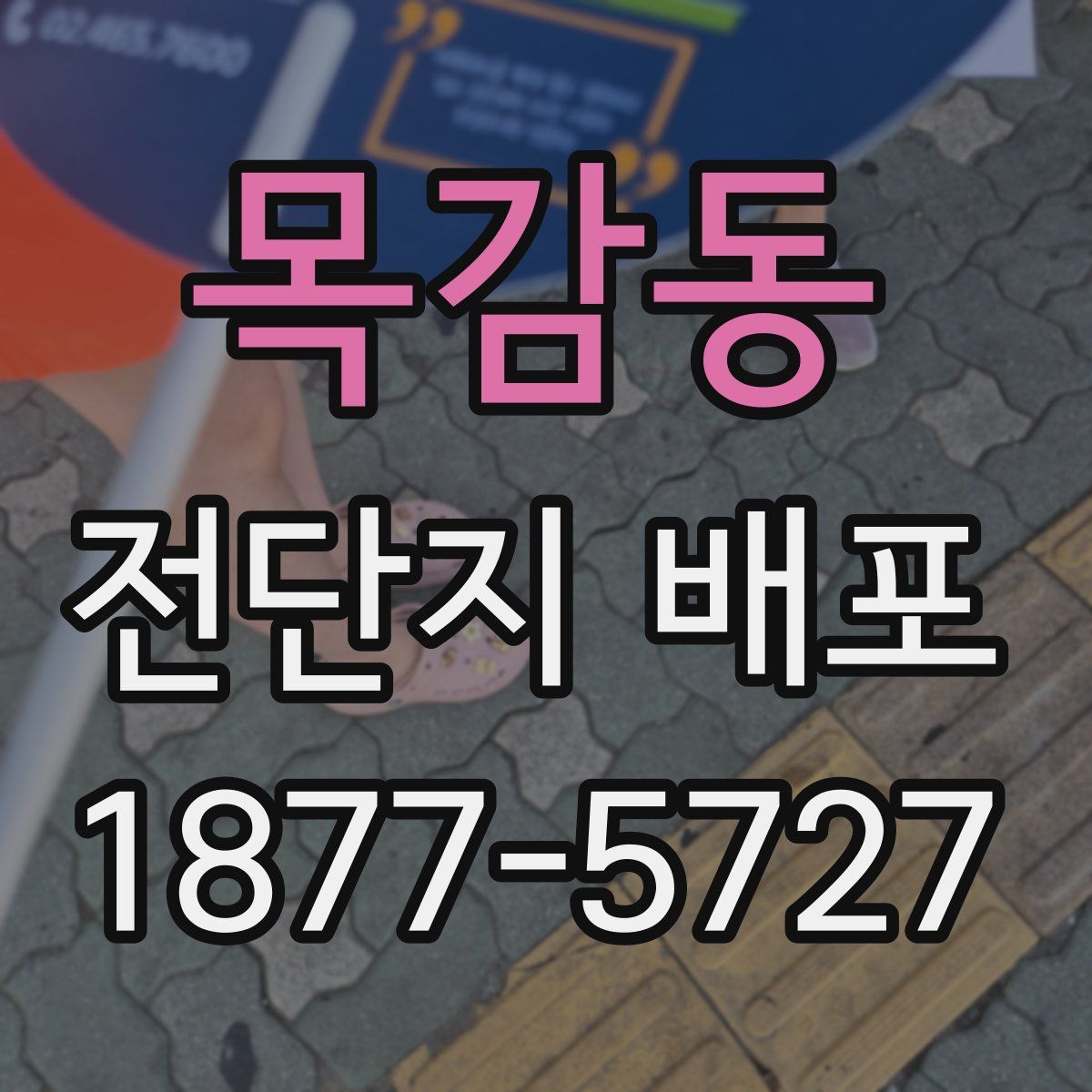 목감동 전단지 배포