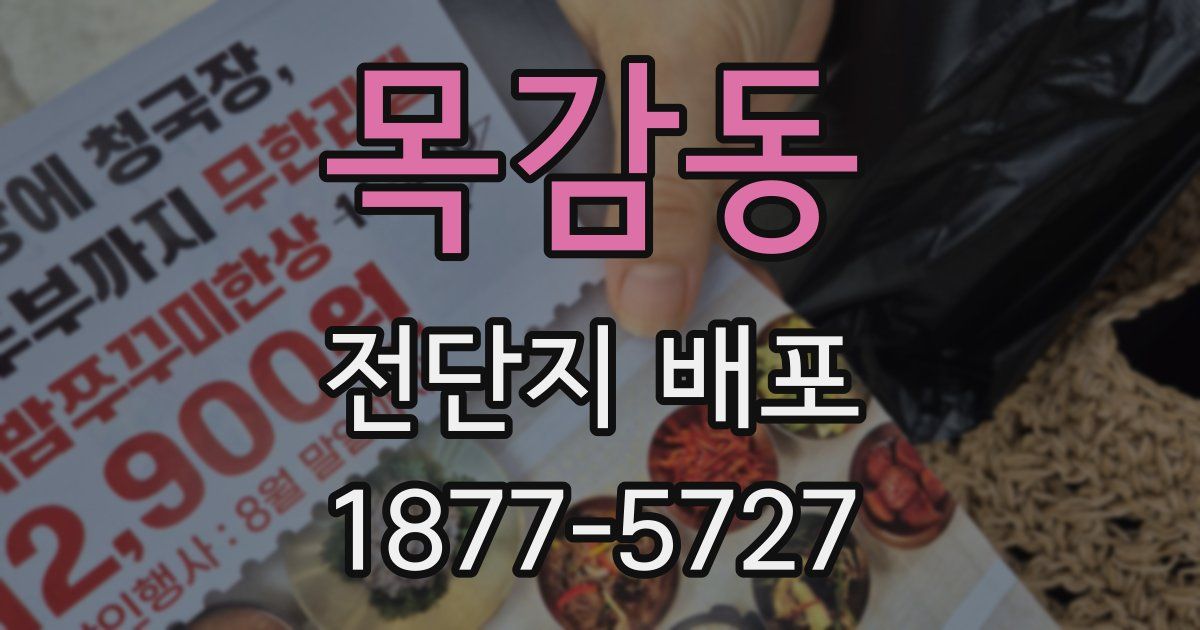목감동 전단지 배포