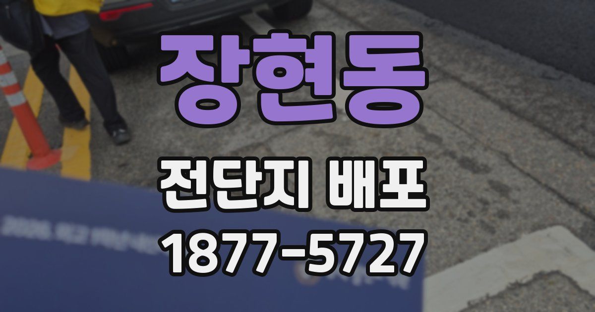 장현동 전단지 배포