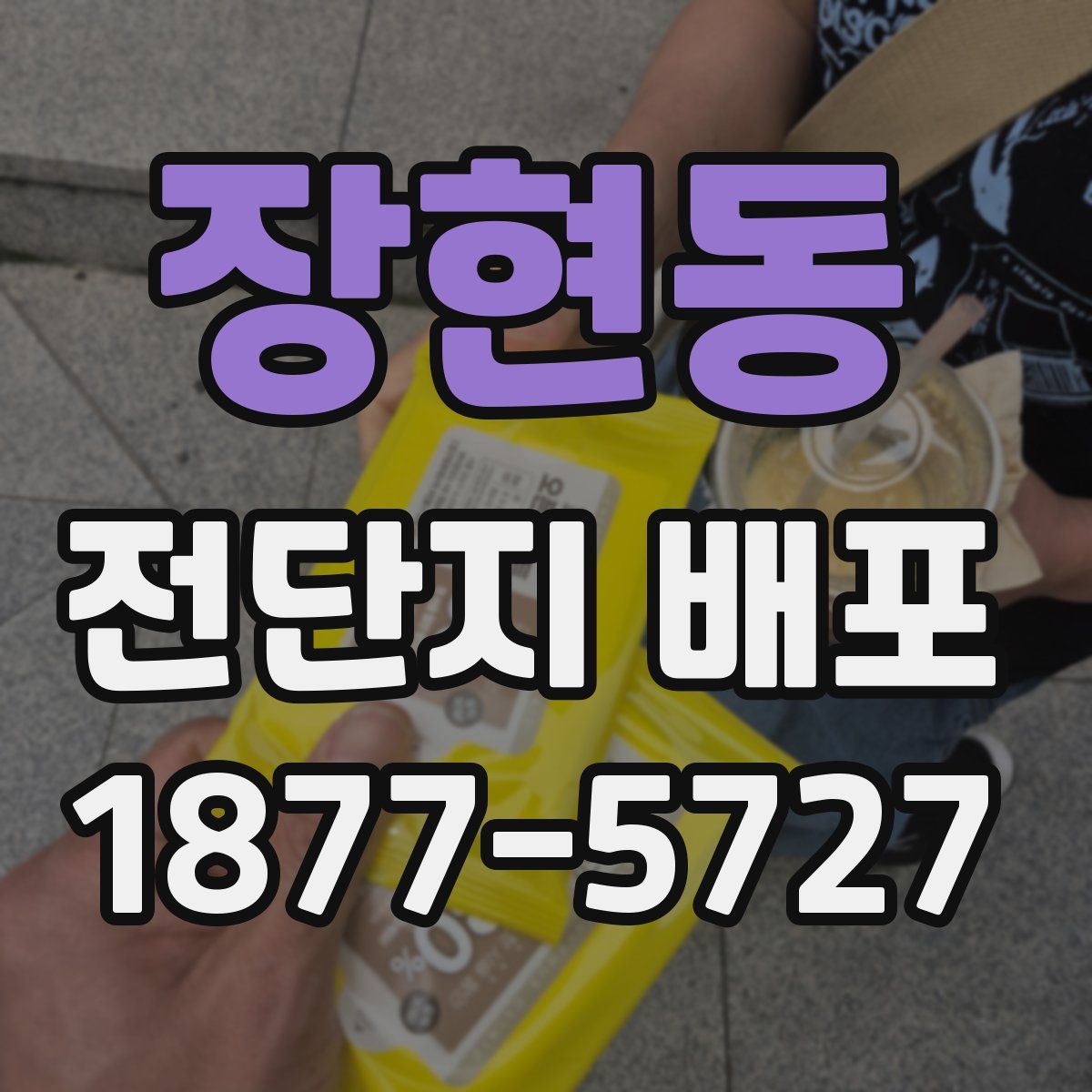 장현동 전단지 배포