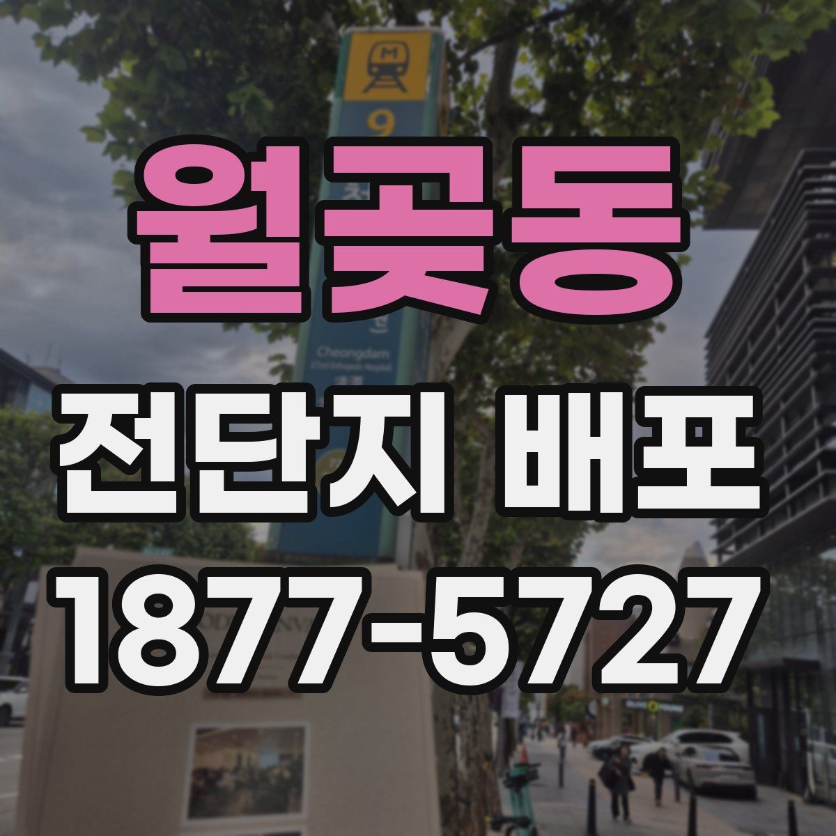 월곶동 전단지 배포
