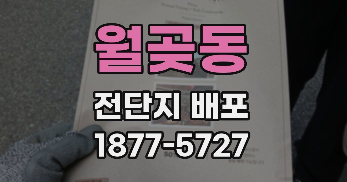 월곶동 전단지 배포