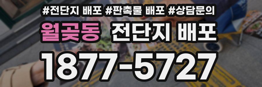 월곶동 전단지 배포