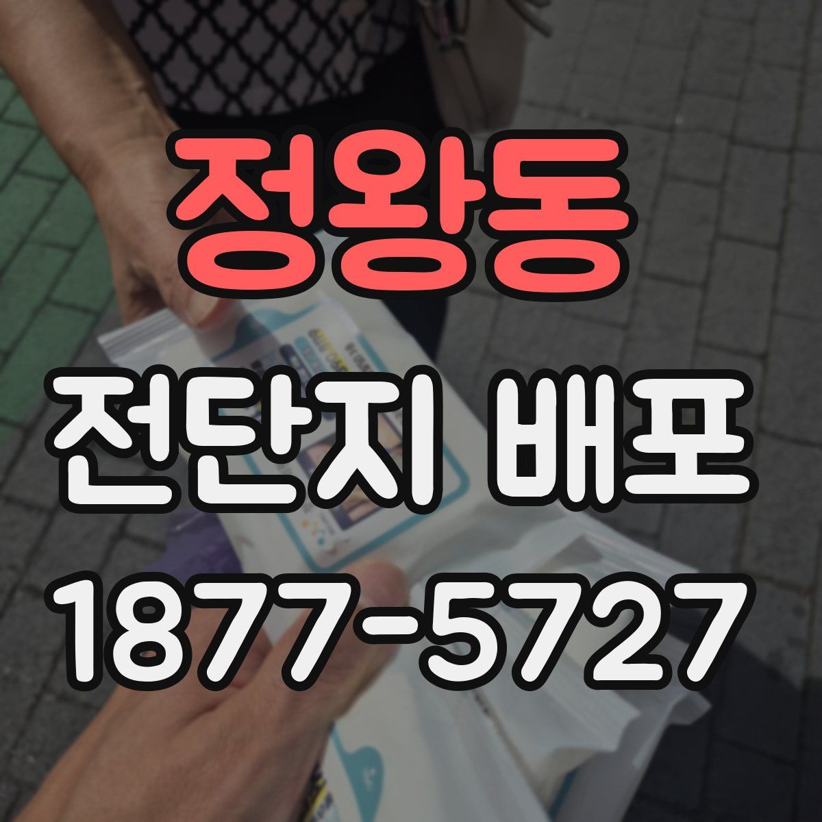 정왕동 전단지 배포