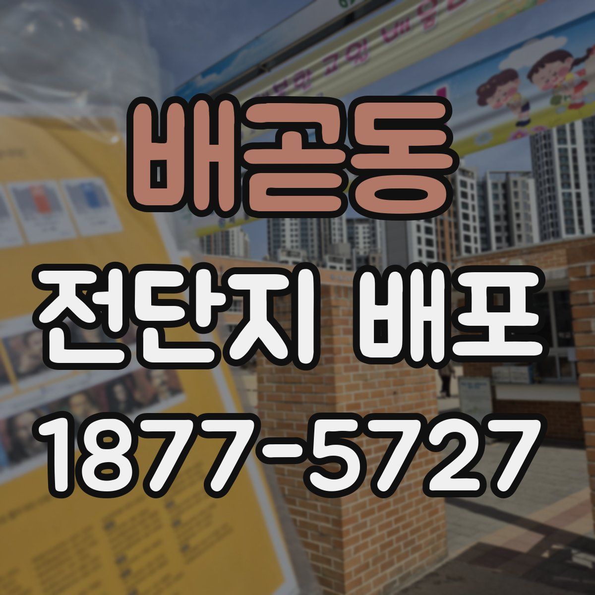 배곧동 전단지 배포