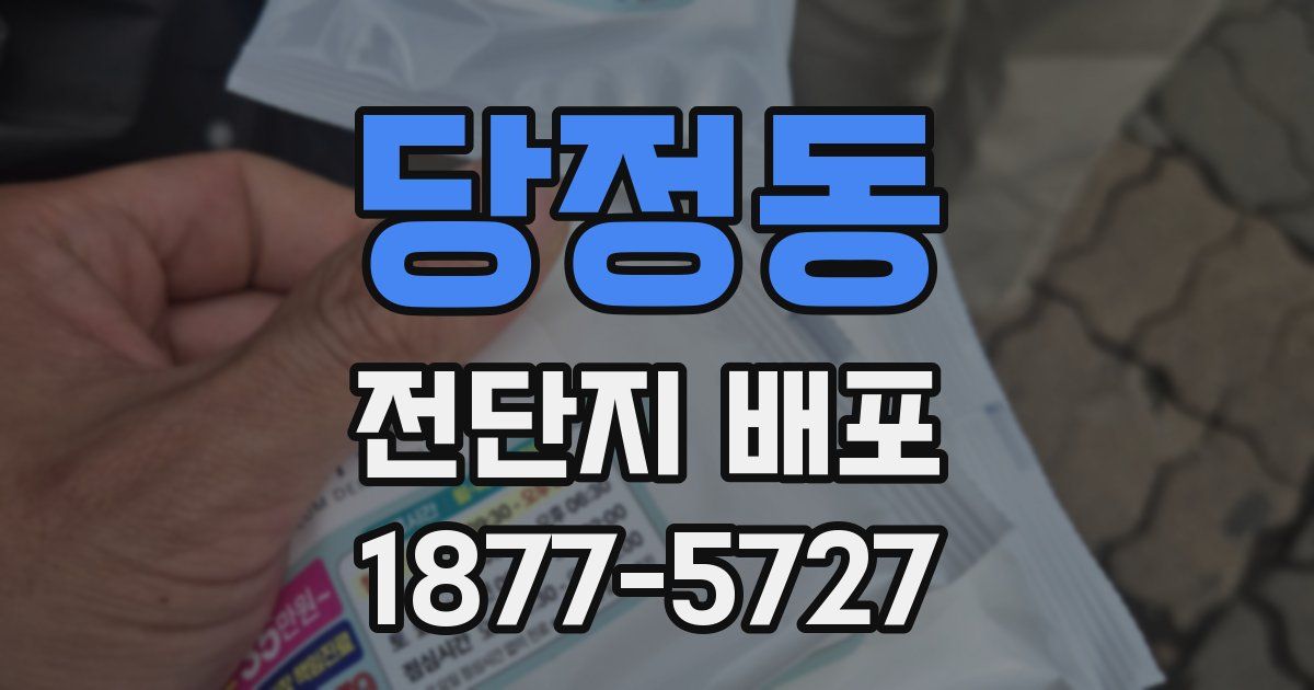 당정동 전단지 배포