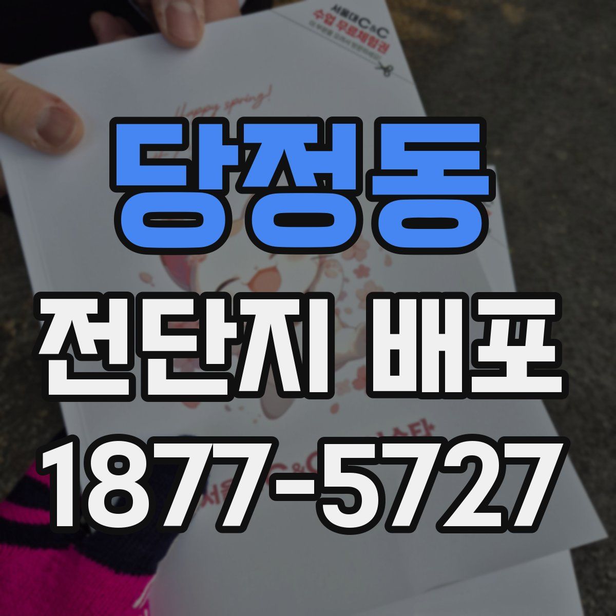 당정동 전단지 배포
