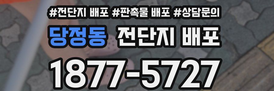 당정동 전단지 배포