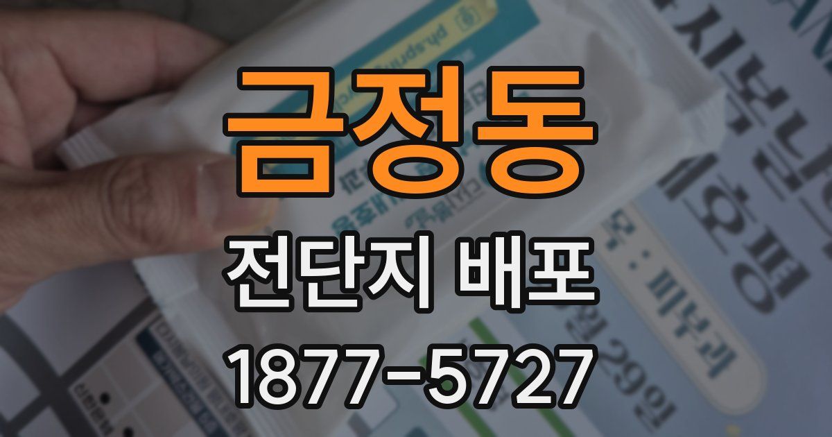 금정동 전단지 배포