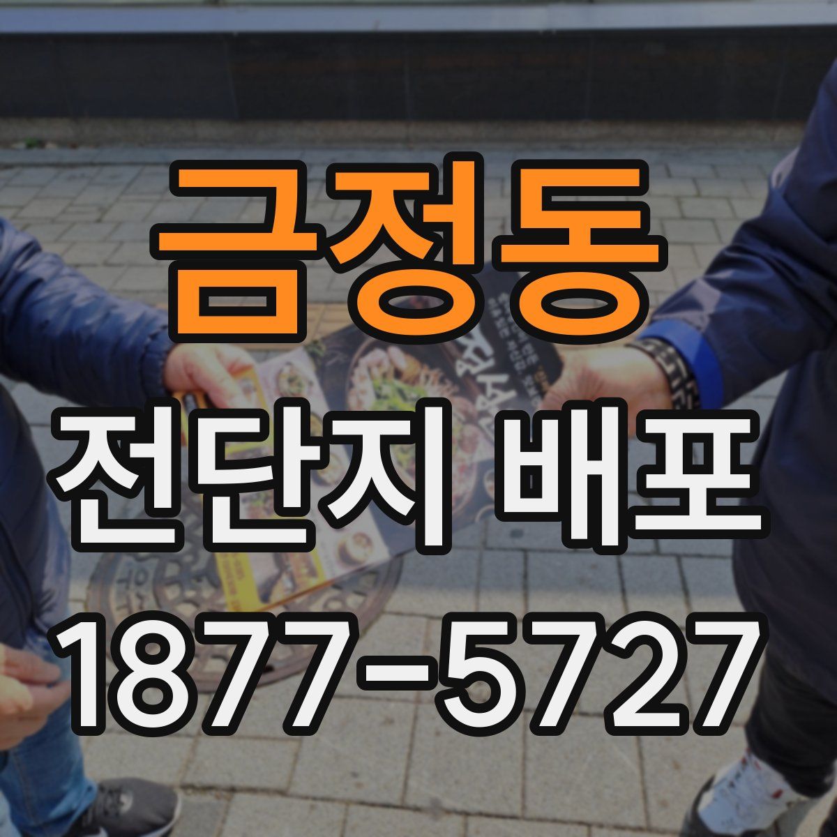 금정동 전단지 배포