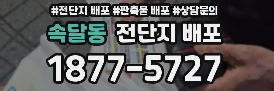 속달동 전단지 배포