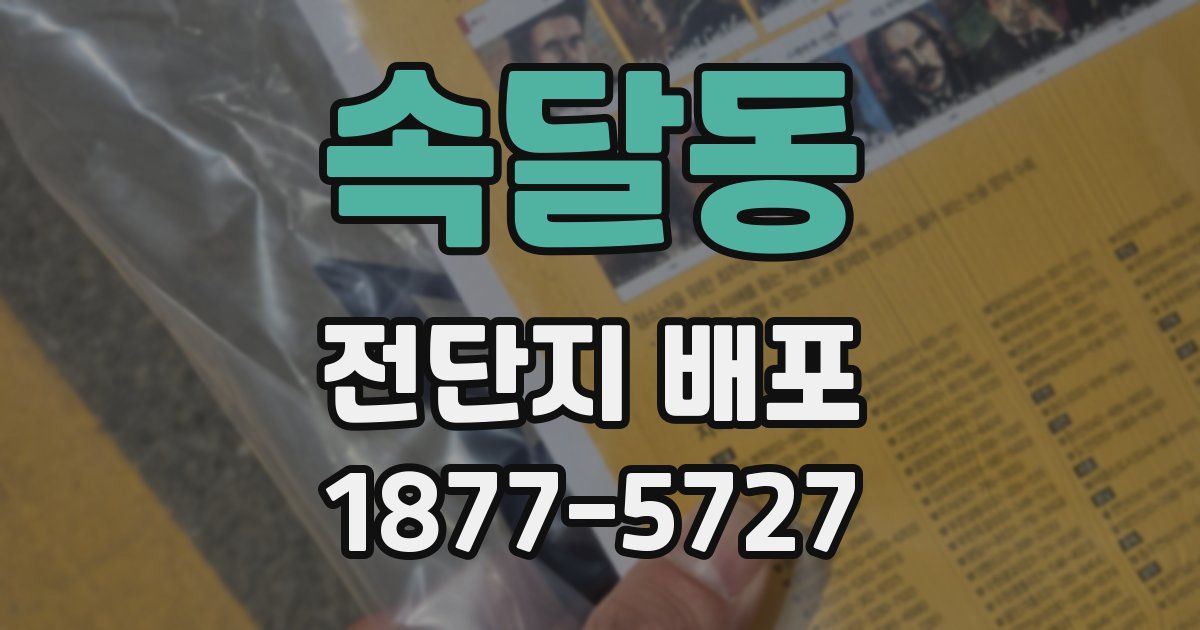 속달동 전단지 배포