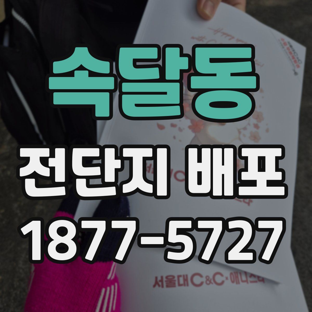 속달동 전단지 배포