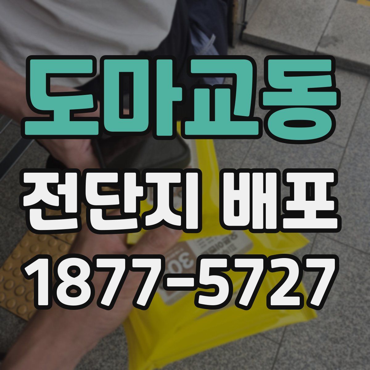 도마교동 전단지 배포