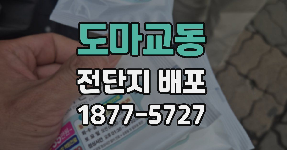 도마교동 전단지 배포