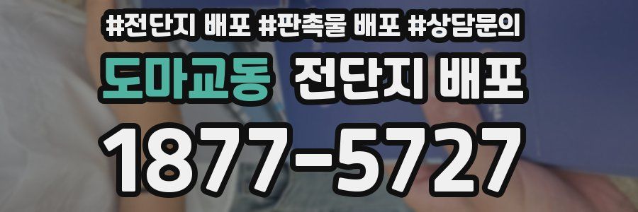 도마교동 전단지 배포