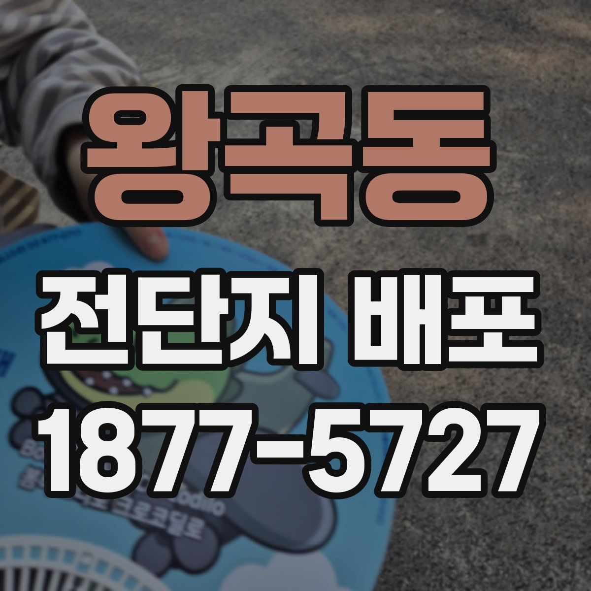 왕곡동 전단지 배포