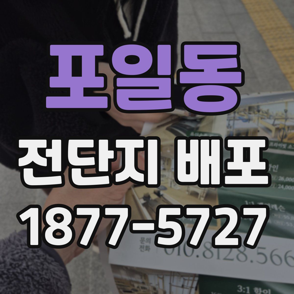 포일동 전단지 배포