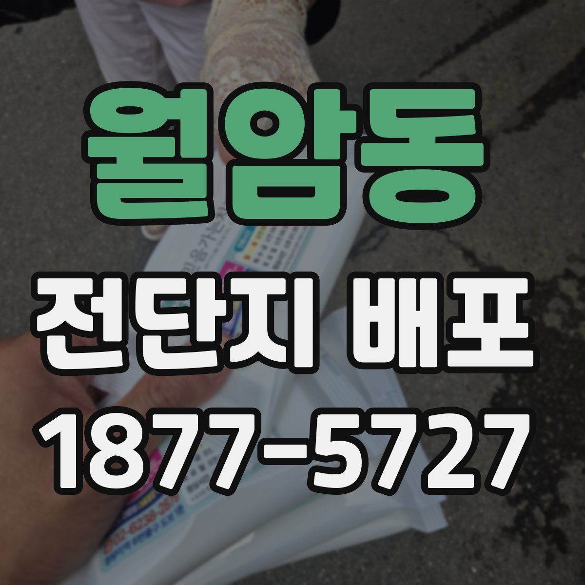 월암동 전단지 배포