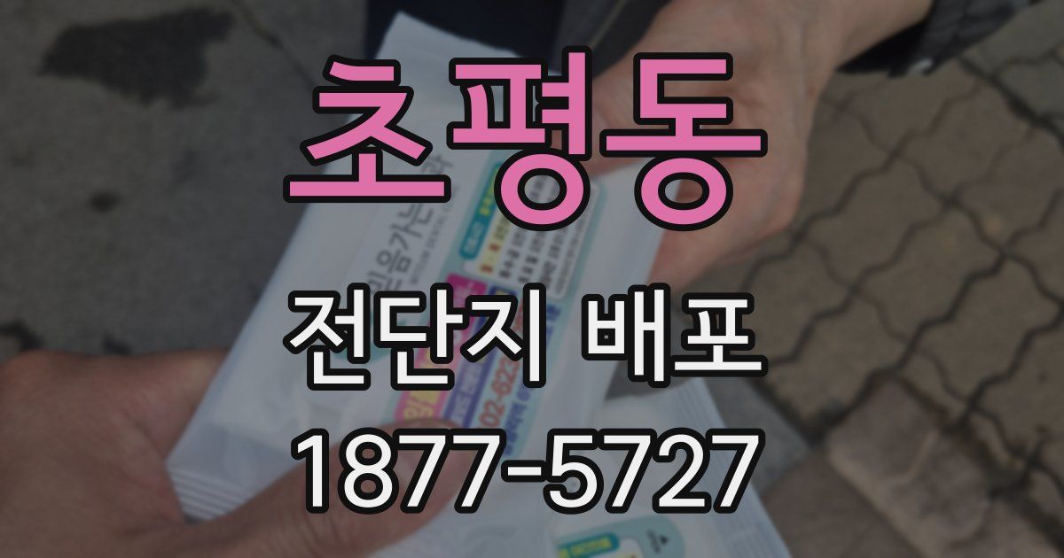 초평동 전단지 배포