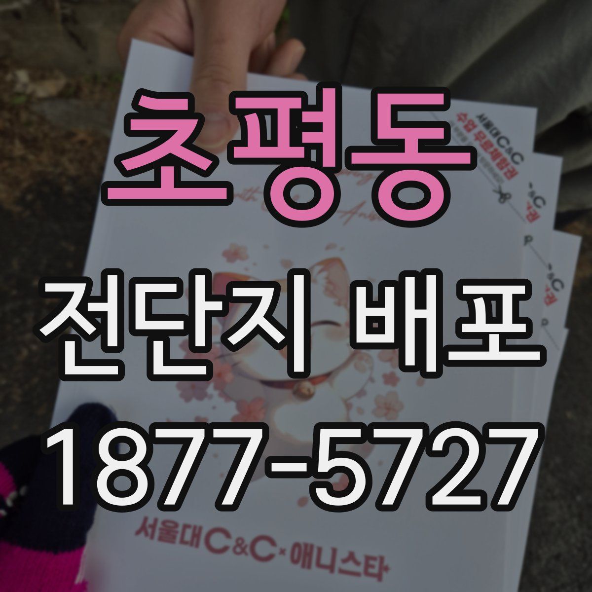 초평동 전단지 배포