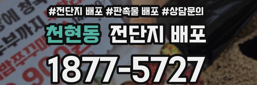 천현동 전단지 배포