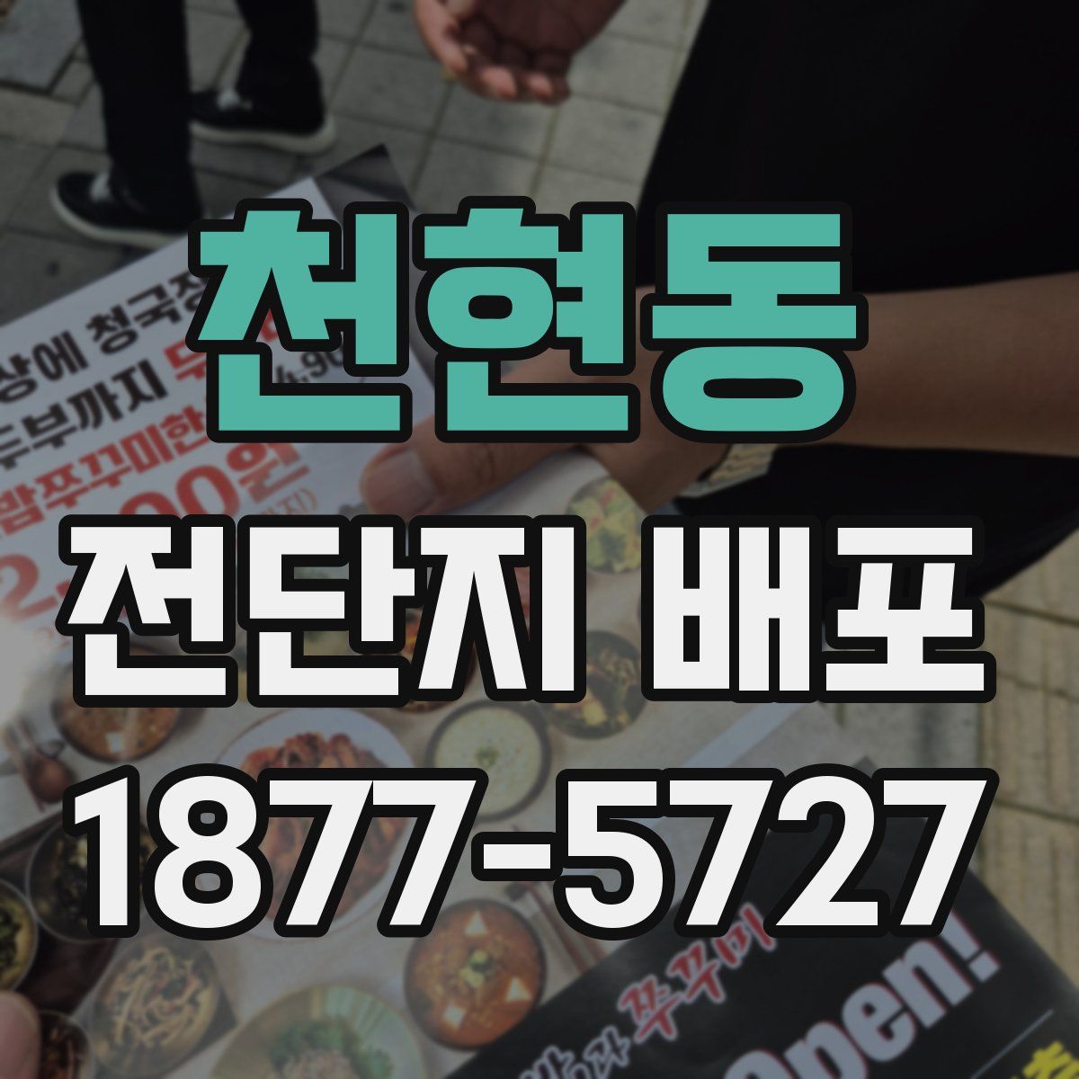 천현동 전단지 배포
