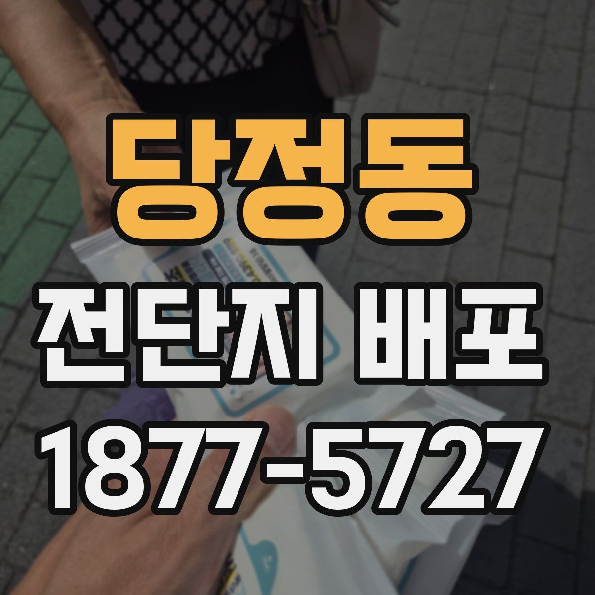 당정동 전단지 배포