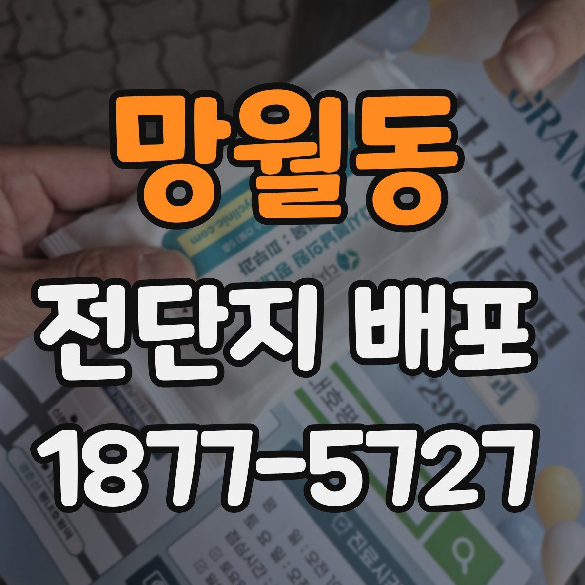 망월동 전단지 배포