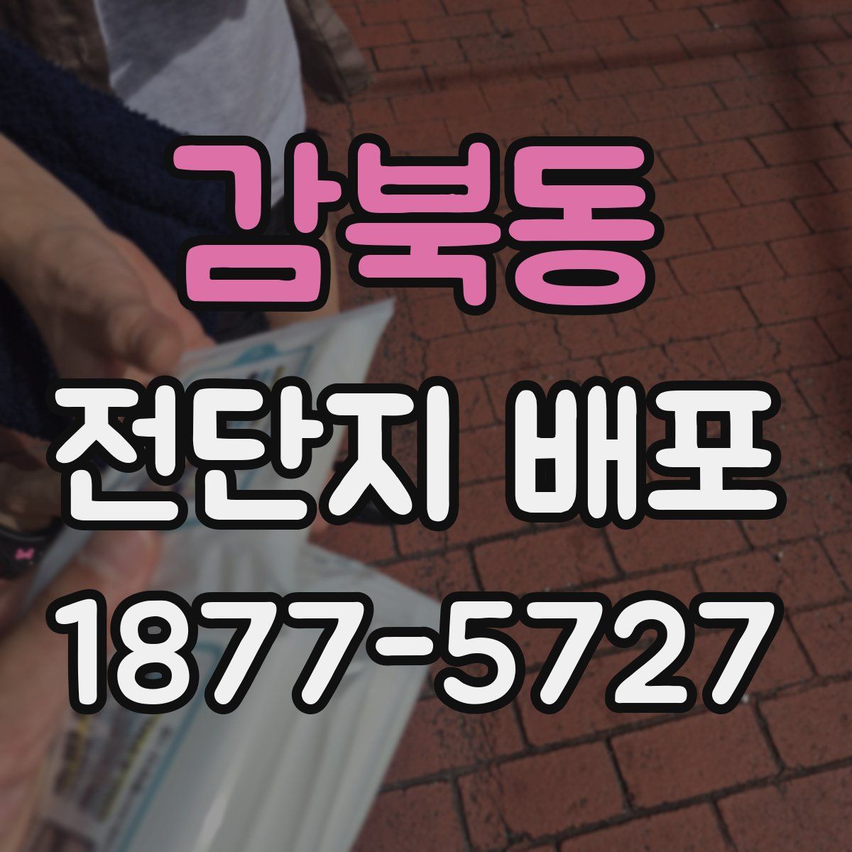 감북동 전단지 배포